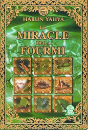 Le Miracle De La Fourmi, Livres, Yoorid, YOORID