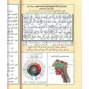 مصحف التجويد حفص - Coran avec règles de Tajwid (Hafs), Version Arabe, Grand format (Gris)