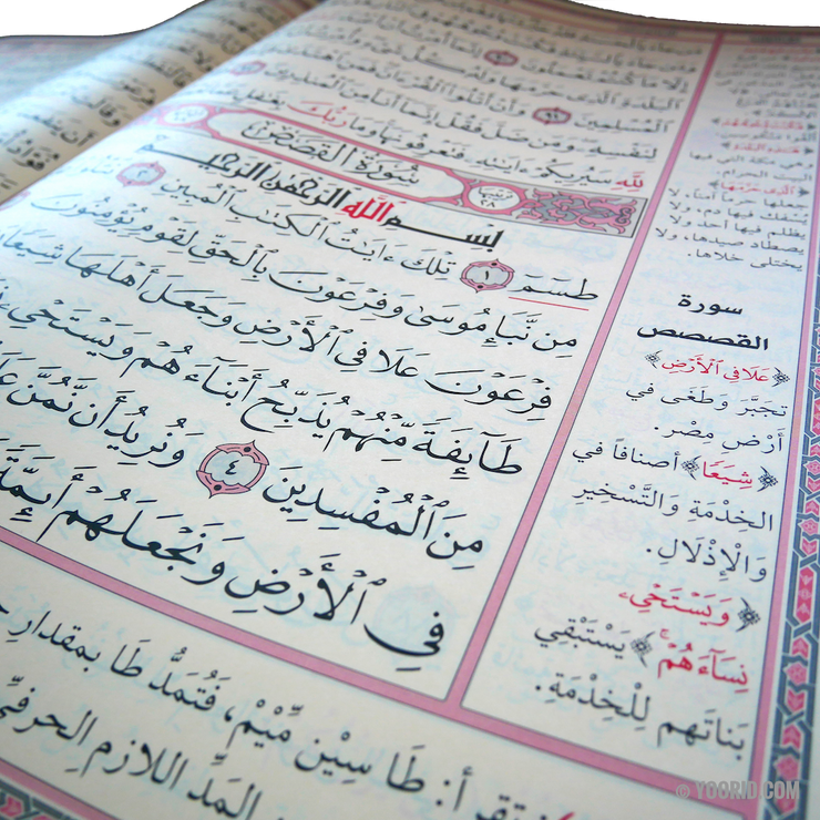 مصحف معلم التجويد Le Saint Coran Warch avec Interprétation et Exégèse en arabe, Livres, Yoorid, YOORID