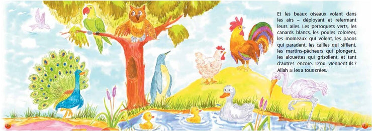 Recits Du Coran Pour Enfants (Les), Book, Yoorid, YOORID