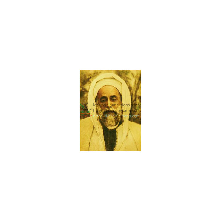 UN SAINT SOUFI DU XXE SIECLE - LE CHEIKH AHMAD AL-'ALAWI d'après MARTIN LINGS
